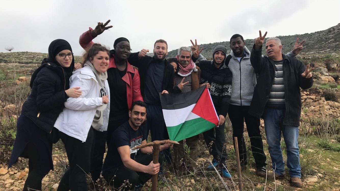 Projets plantation d'olivier en palestine