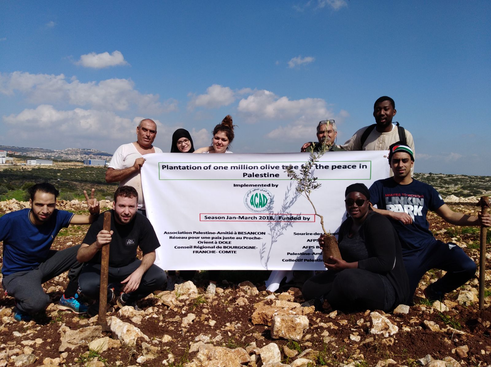 Projets groupe pour la plantation d'olivier